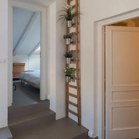 Casa Siciliana Giudecca Apartment